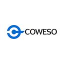 Coweso logo